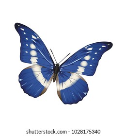 butterfly on a homogeneous background. Vector illustration
