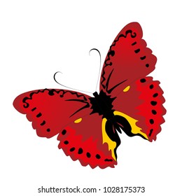 butterfly on a homogeneous background. Vector illustration