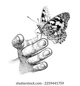 Butterfly on human hand. Vanessa cardui, Painted Lady, Cosmopolitan. Beautiful insect. Hand-drawn vector, engraving sketch. Monochrome Illustration.