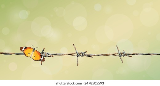 Butterfly on old barb wire have blurred natural green and bokeh background graphic illustrated have blank space.