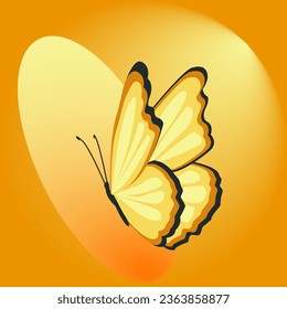 Butterfly on an orange background. Vector illustration for your design