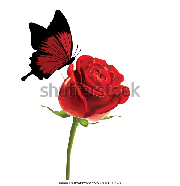 Download Butterfly On Rose Stock Vector (Royalty Free) 87017228