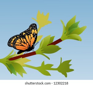 butterfly on spring buds