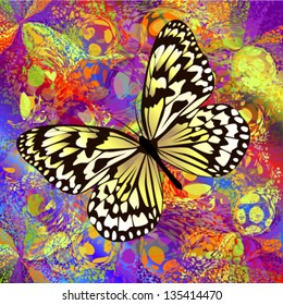 butterfly on stains of paint