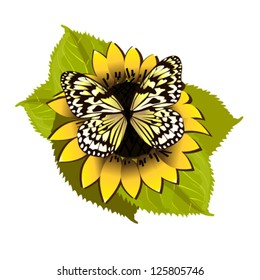 butterfly on sunflower. vector