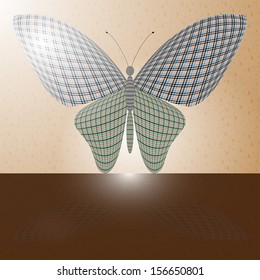 butterfly on the wall and its reflection on a horizontal surface