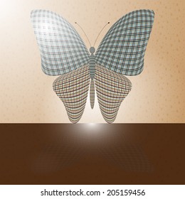 butterfly on the wall and its reflection on a horizontal surface