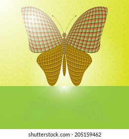 butterfly on the wall and its reflection on a horizontal surface