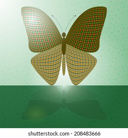 butterfly on the wall and its reflection on a horizontal surface