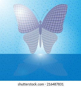 butterfly on the wall and its reflection on a horizontal surface