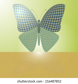 butterfly on the wall and its reflection on a horizontal surface