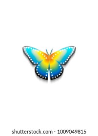 Butterfly on a white background