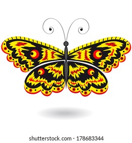 Butterfly on white background