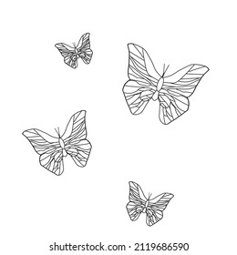 butterfly on a white background