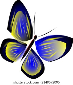 Butterfly on a white background.
