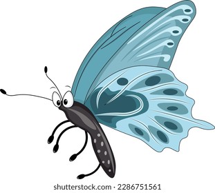 butterfly on a white background