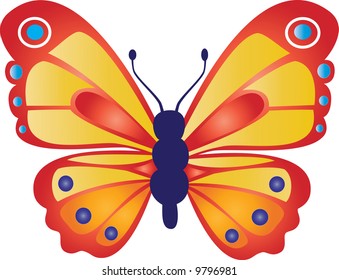 butterfly on a white background