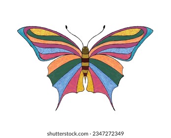 butterfly on white background. vector illustration.