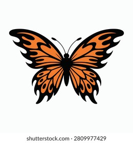 butterfly on white background vector design