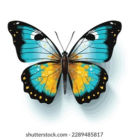 Butterfly on white vector illustration isolated 