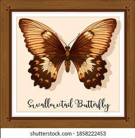 Butterfly on wooden frame illustration