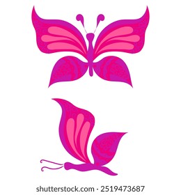 Butterfly with open wings and closed wings. Vector illustration isolated on white background.