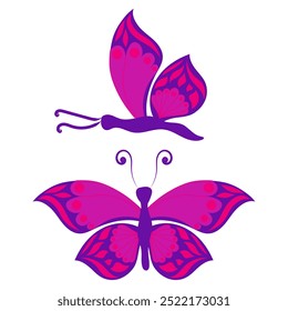 Butterfly with open wings and closed wings. Vector illustration isolated on white background.