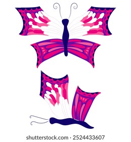 Butterfly with open wings and closed wings. Vector illustration isolated on white background.