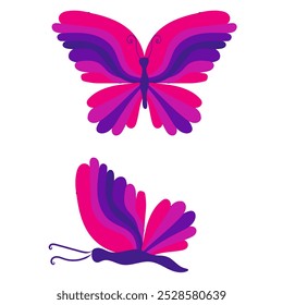 Butterfly with open wings and closed wings. Vector illustration isolated on white background.