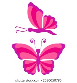 Butterfly with open wings and closed wings. Vector illustration isolated on white background.