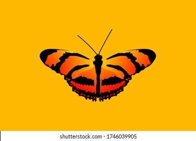 butterfly with open wings top view of symmetry, sketch the graph of vector color drawing butterfly with beautiful wings