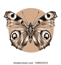 butterfly with open wings top view, the symmetrical drawing, graphics sketch vector black and white pattern on a brown background circle