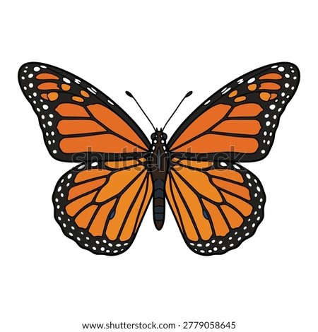 Butterfly with Open Wings Top View Clean Outline Vector