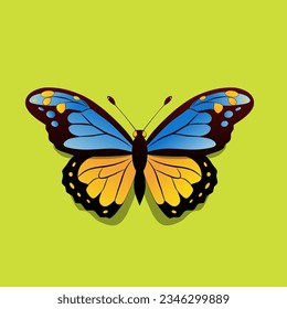 Butterfly orange blue color illustration logo vector on green background