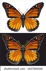 Butterfly orange on black and white background (Mariposa Monarca)