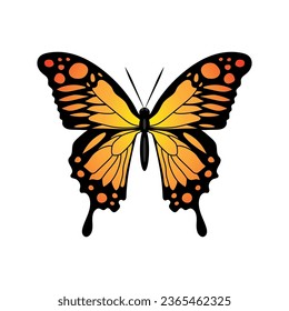 Butterfly orange yellow silhouette Monarch Butterfly design hand drawn  illustration vector