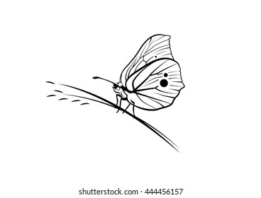 Butterfly outline