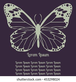 butterfly. outline. the pattern on the butterfly