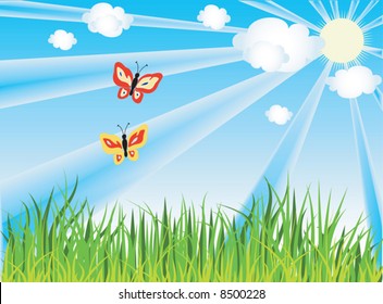 mariposa sobre hierba bajo cielo azul, nubes y sol