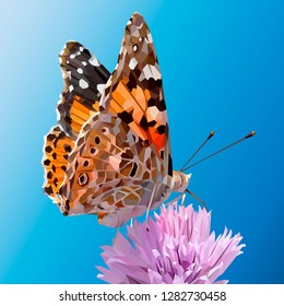 butterfly painted lady sitting on a pink flower. Realistic image vector illustration