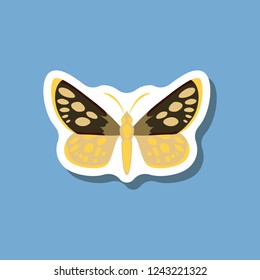 butterfly paper sticker on stylish background