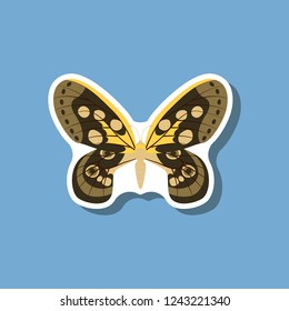 butterfly paper sticker on stylish background