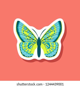 butterfly paper sticker on stylish background