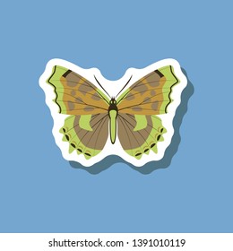 butterfly paper sticker on stylish background