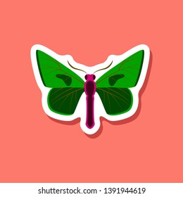 butterfly paper sticker on stylish background