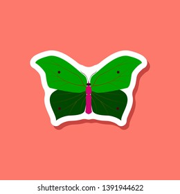 butterfly paper sticker on stylish background