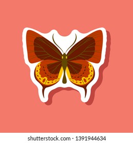 butterfly paper sticker on stylish background