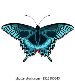 the butterfly Papilio maackii tropical vector illustration