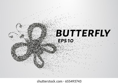 Butterfly of the particles. The butterfly consists of circles and points. Vector illustration