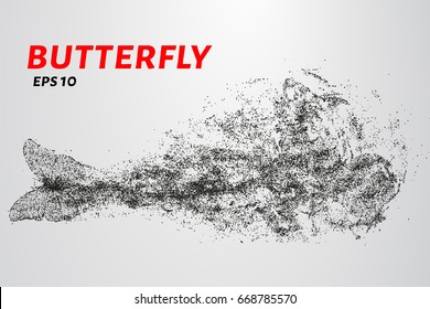 Butterfly of the particles. The butterfly consists of circles and points. Vector illustration
